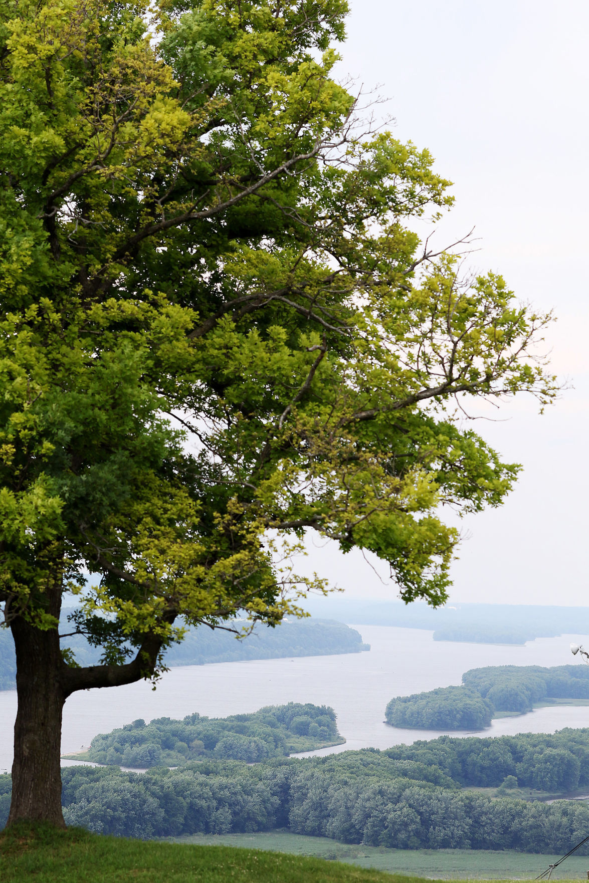 THE GREAT RIVER-0514